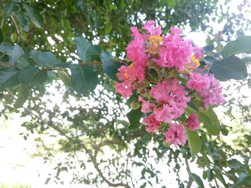 绿水青山，联翩而至，南宫电子游戏2018兰州之旅